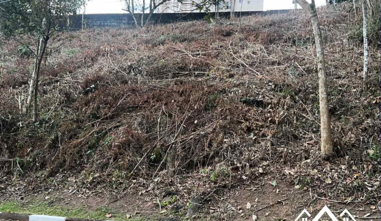 1_Easy-Resize.com (1)