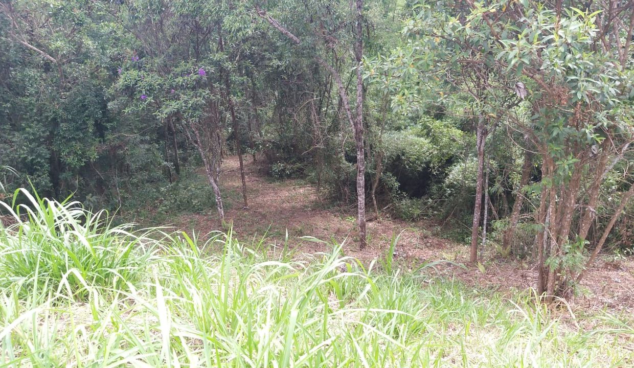 2719f107-3329-48b2-a408-a3b898419898