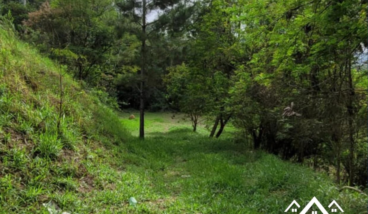 2_Easy-Resize.com (1)