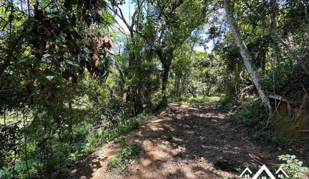 2_Easy-Resize.com (1)