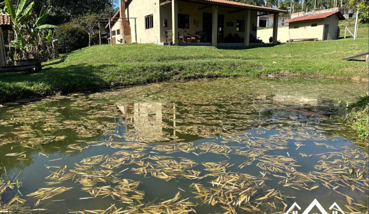 3_Easy-Resize.com (5)