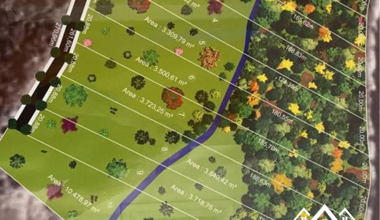 4_Easy-Resize.com (2)