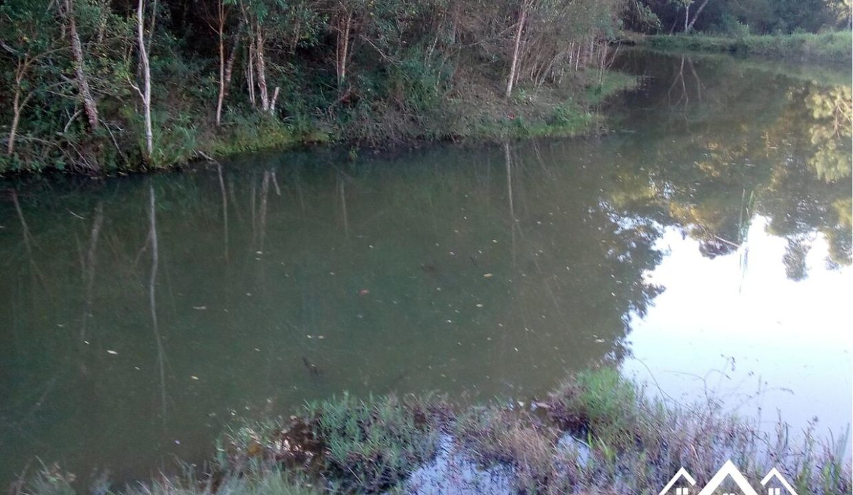 4_Easy-Resize.com (4)