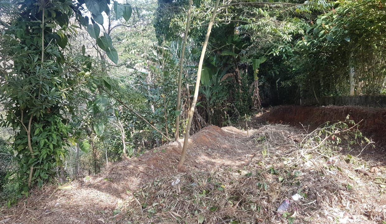 56023c0d-cbf7-400e-bf05-0938cecbb2e7