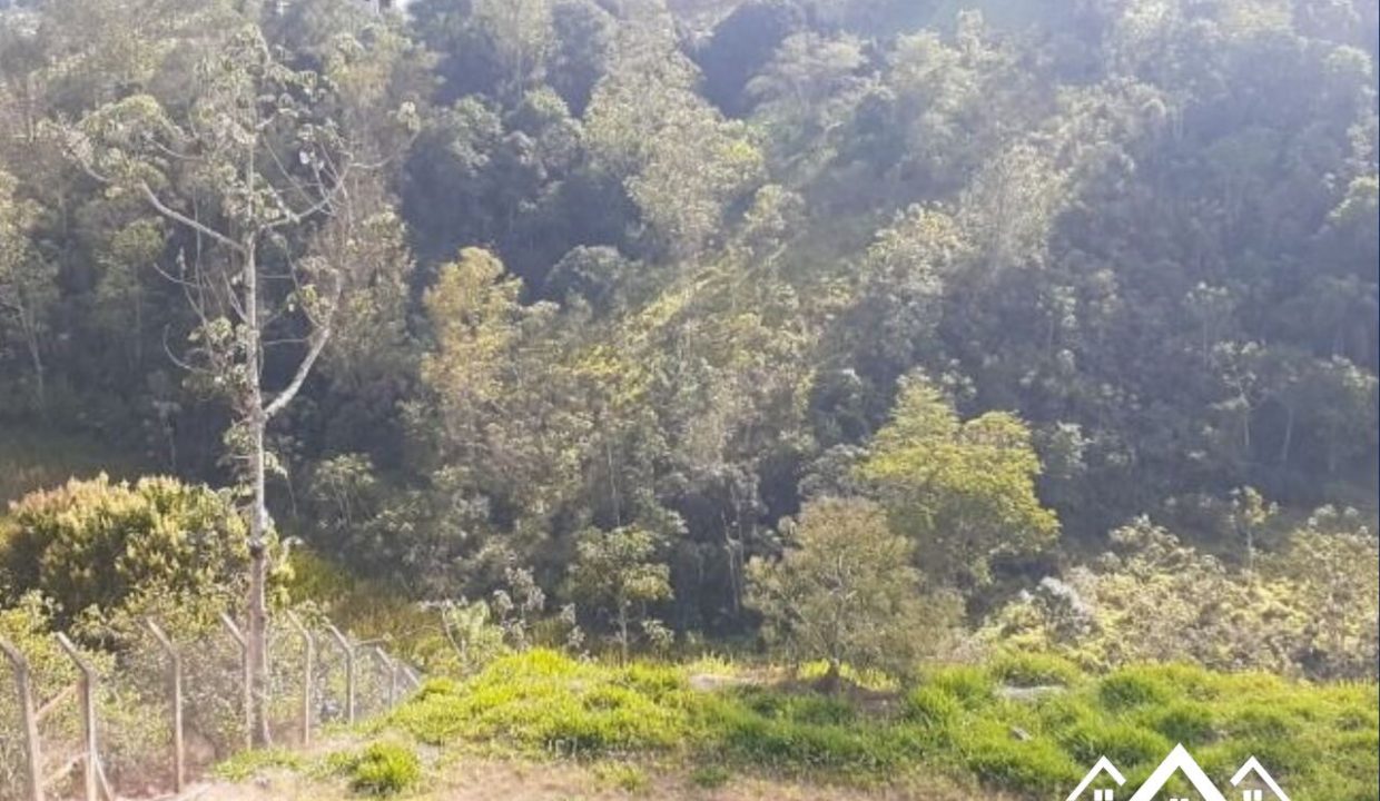 5_Easy-Resize.com (2)