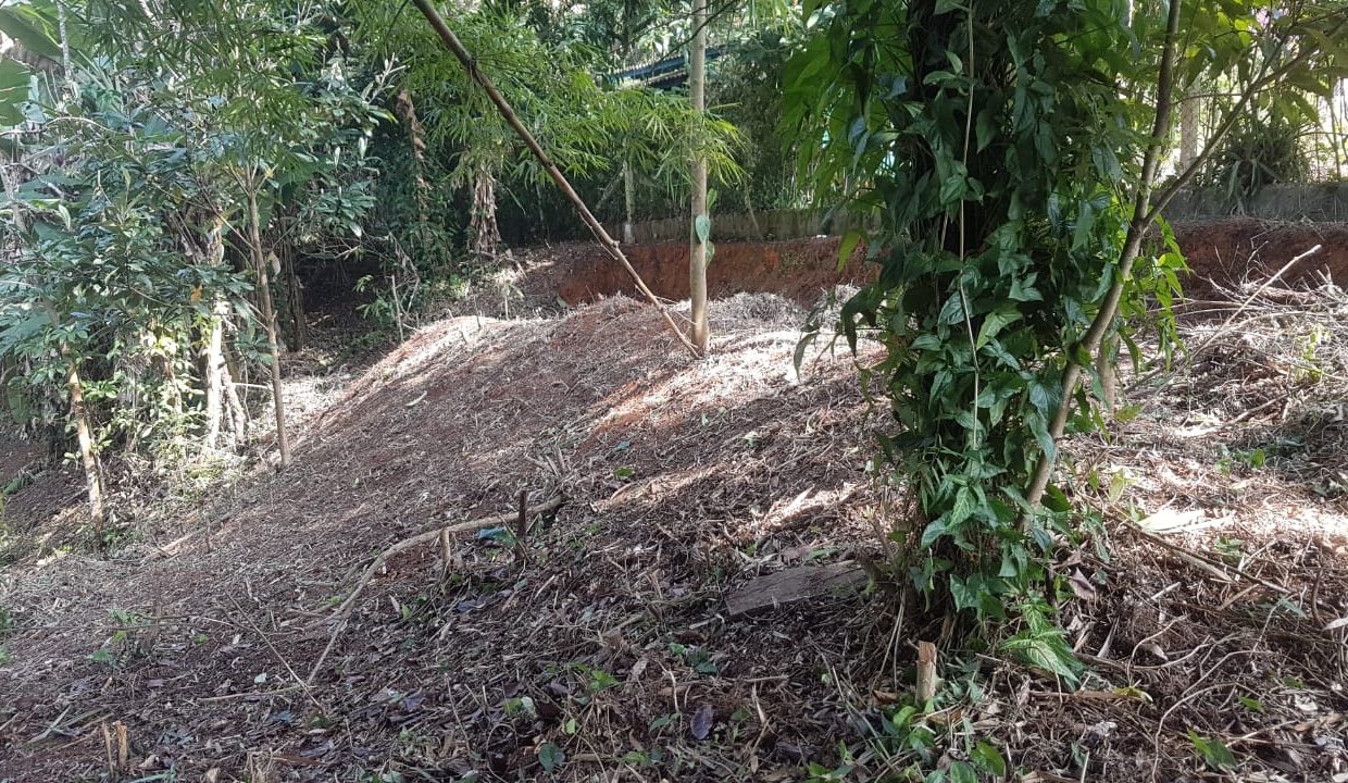 5bdc9dd6-9881-4b87-9721-b49389e692c4