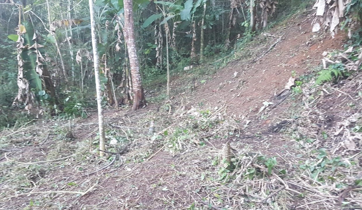 6ac5357c-59eb-4b2f-8449-03c5e34da916