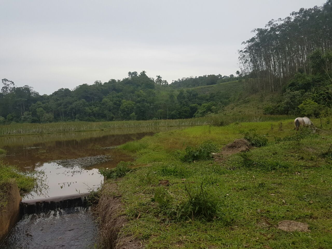 Sítios de 20mil m²