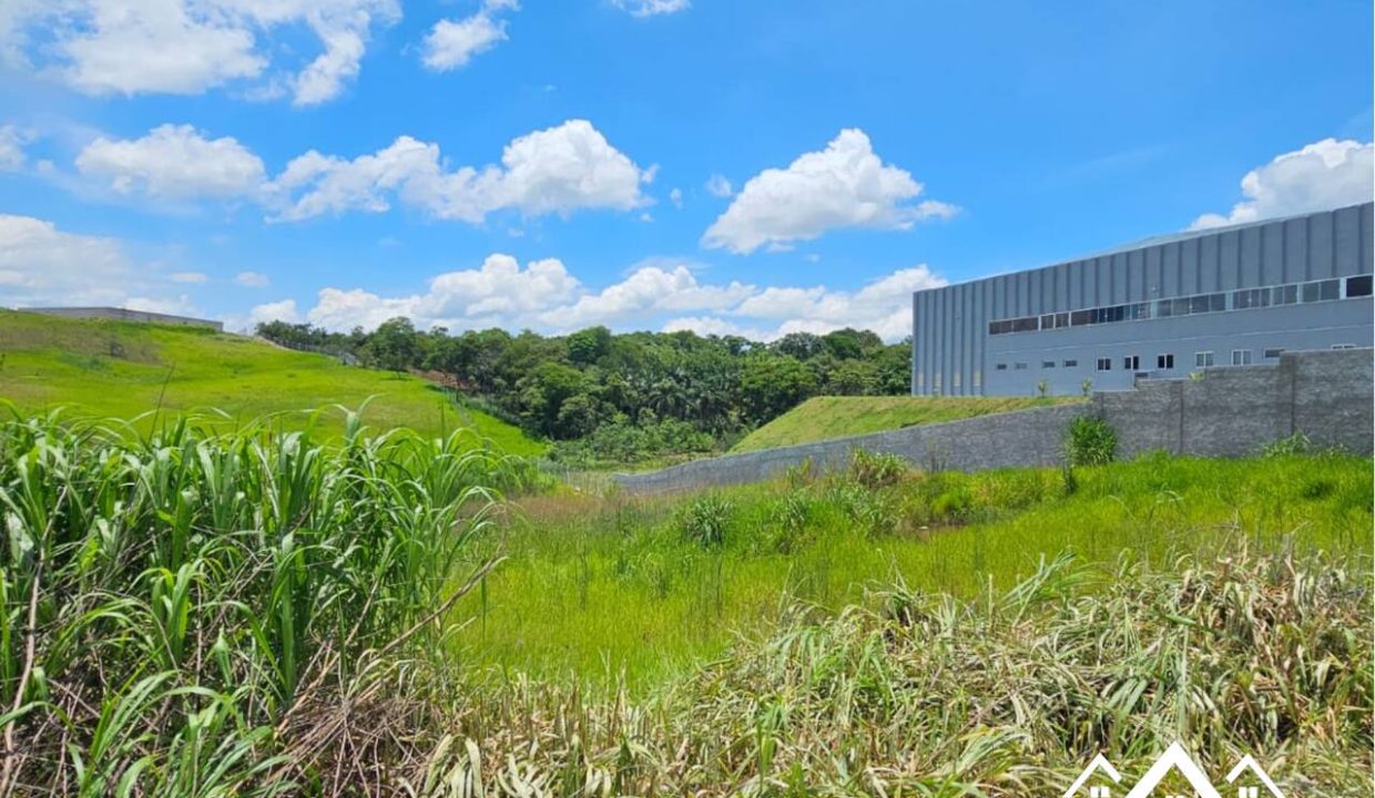 7_Easy-Resize.com (2)