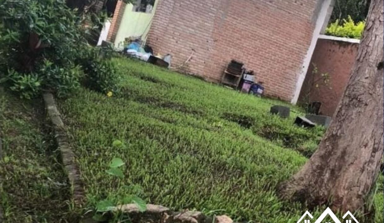 8_Easy-Resize.com (2)