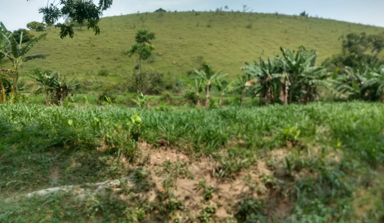 Imagem do WhatsApp de 2023-10-31 à(s) 15.49.50_1a496372