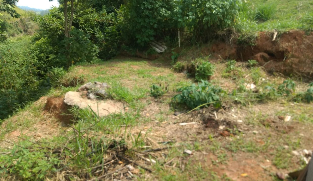 Imagem do WhatsApp de 2023-10-31 à(s) 15.49.52_3477f571