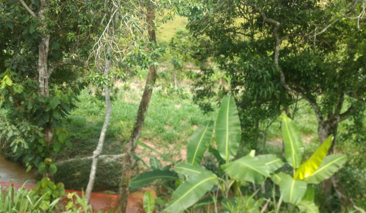 Imagem do WhatsApp de 2023-10-31 à(s) 15.49.52_e3f42082