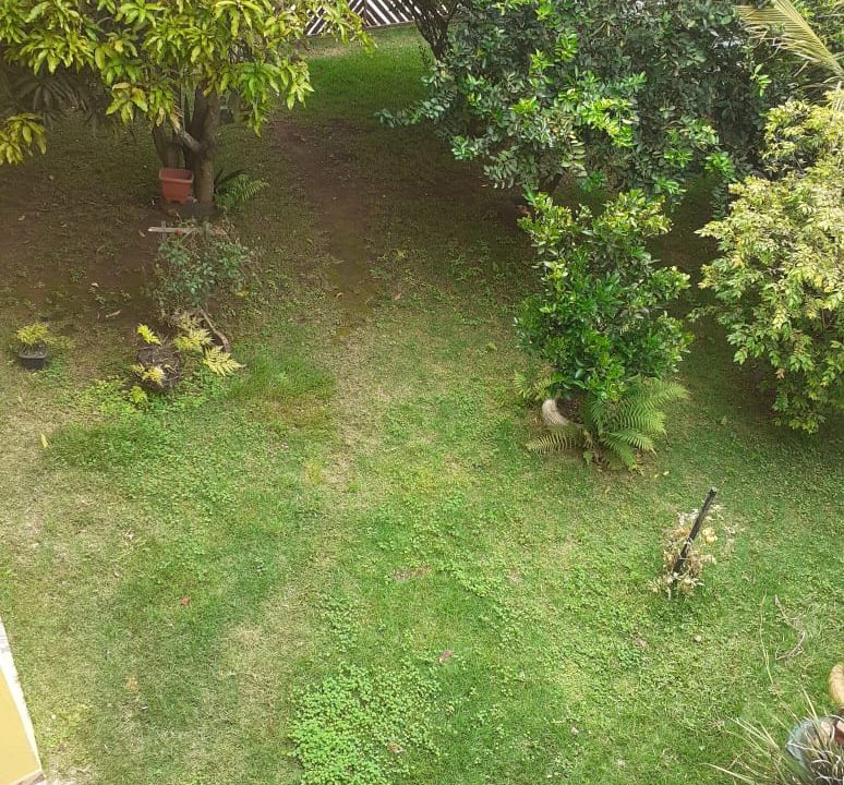 WhatsApp Image 2020-10-17 at 11.10.42 (1)