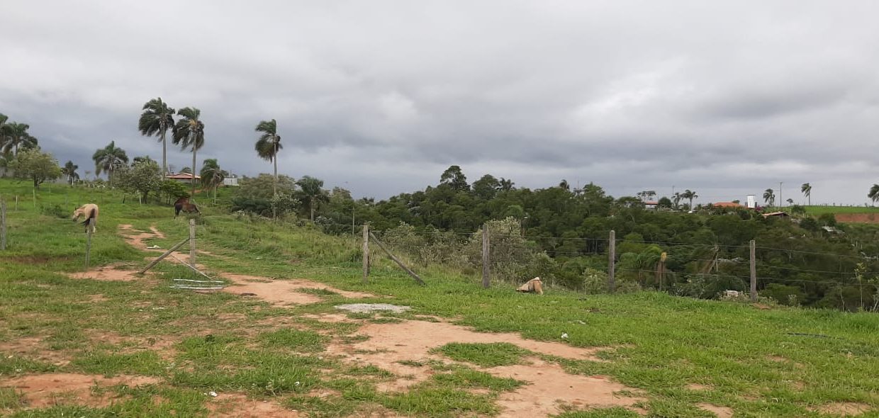 WhatsApp Image 2020-12-09 at 16.49.01 (2)