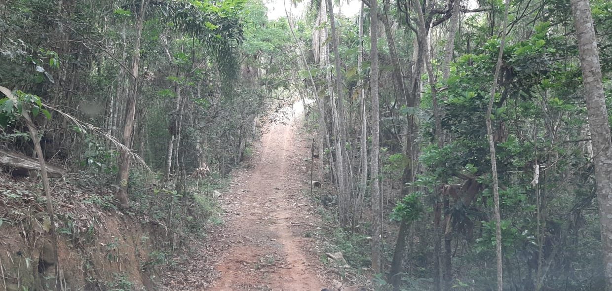 WhatsApp Image 2020-12-09 at 16.49.02 (10)