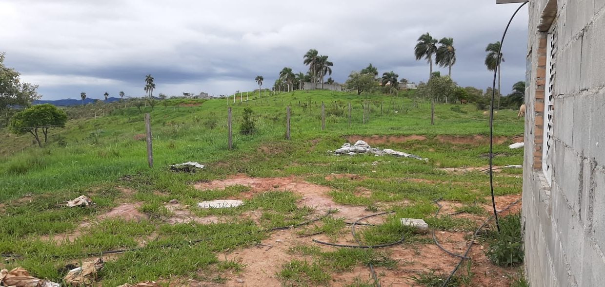 WhatsApp Image 2020-12-09 at 16.49.02 (2)