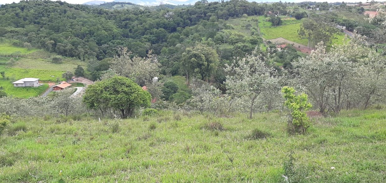 WhatsApp Image 2020-12-09 at 16.49.02 (6)