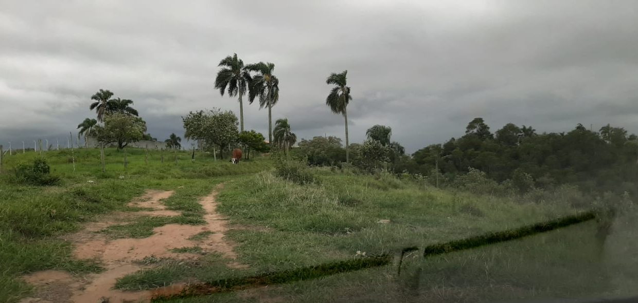 WhatsApp Image 2020-12-09 at 16.49.02 (7)