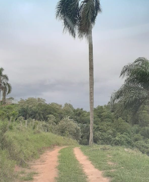 WhatsApp Image 2020-12-09 at 16.49.02 (8)