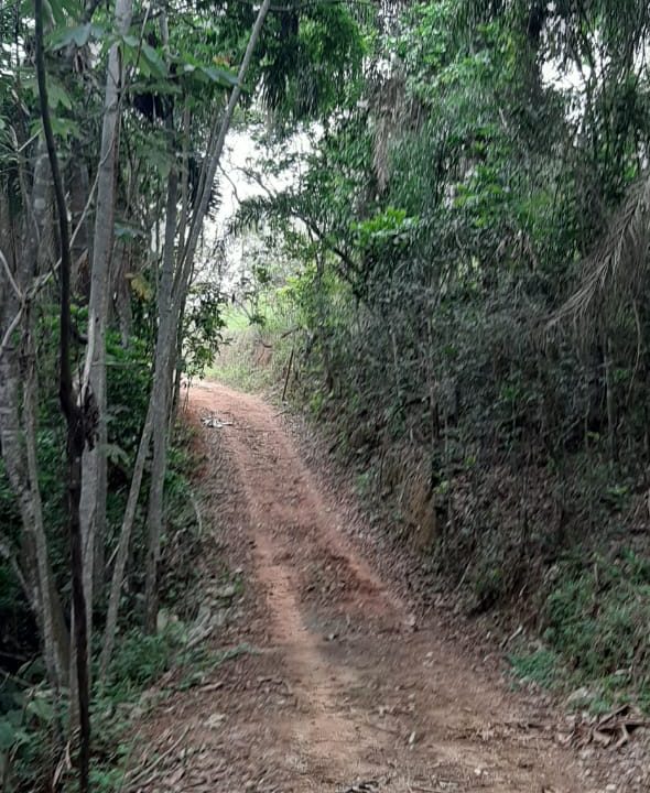 WhatsApp Image 2020-12-09 at 16.49.03 (1)