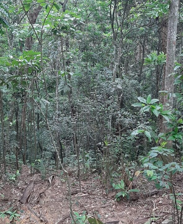 WhatsApp Image 2020-12-09 at 16.49.03