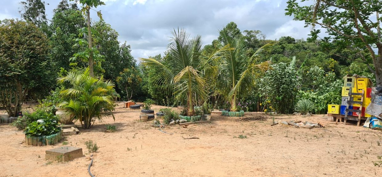 WhatsApp Image 2020-12-11 at 12.26.48 (1)