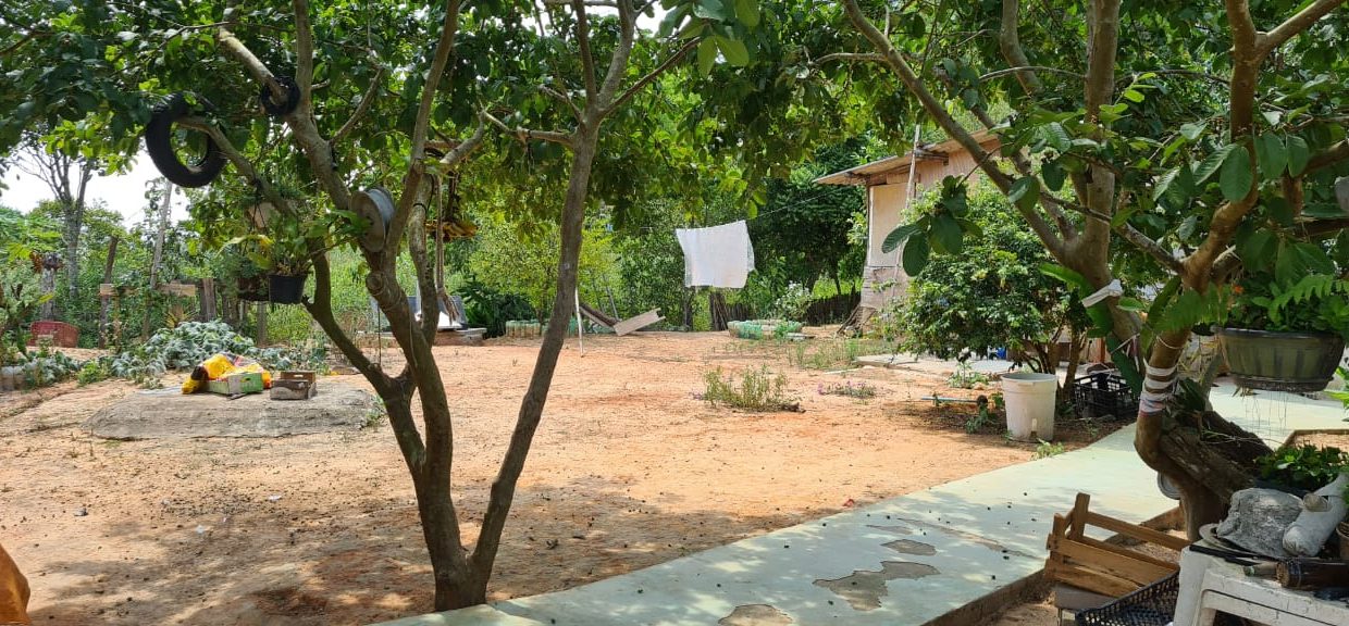 WhatsApp Image 2020-12-11 at 12.26.48