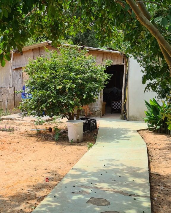 WhatsApp Image 2020-12-11 at 12.26.49 (1)