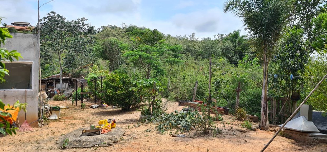 WhatsApp Image 2020-12-11 at 12.26.50