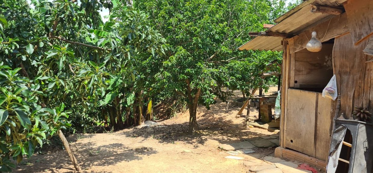 WhatsApp Image 2020-12-11 at 12.26.53 (2)