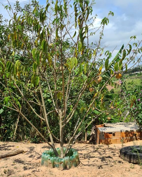 WhatsApp Image 2020-12-11 at 12.26.55 (1)