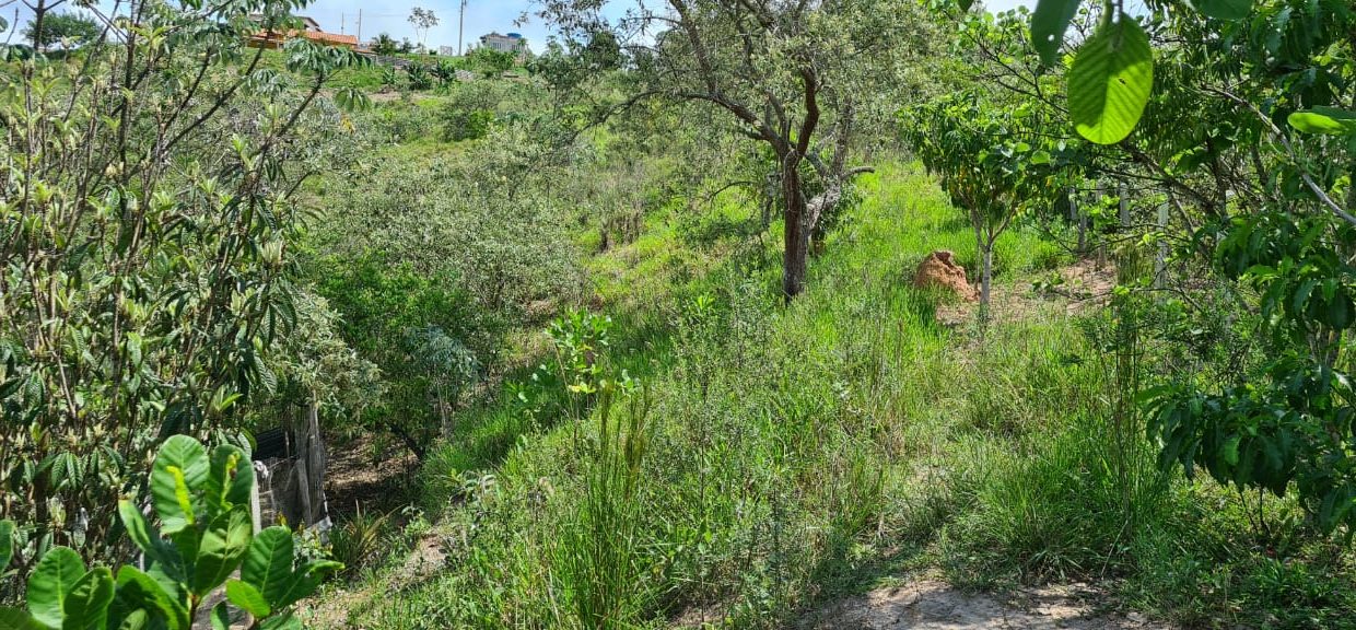 WhatsApp Image 2020-12-11 at 12.26.56