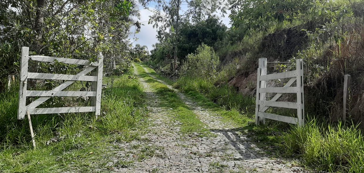 WhatsApp Image 2020-12-11 at 12.53.25