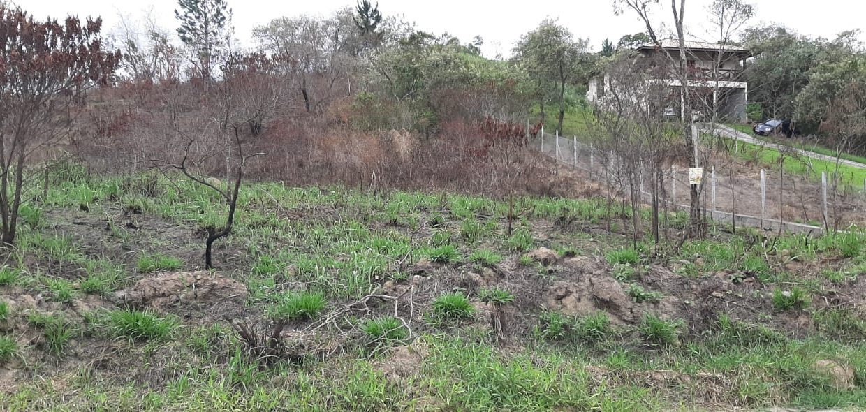 WhatsApp Image 2020-12-11 at 14.01.05 (1)