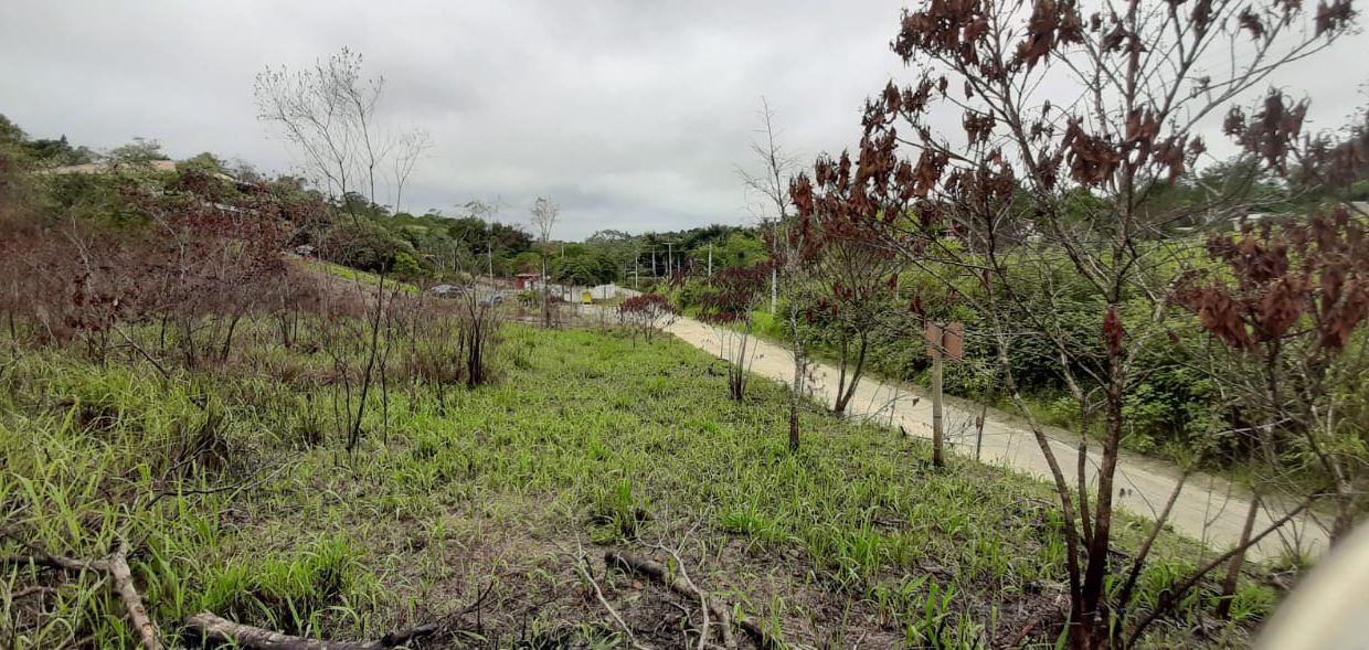 WhatsApp Image 2020-12-11 at 14.01.05 (10)