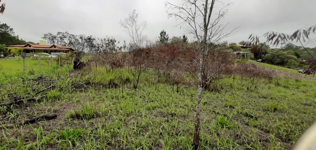 WhatsApp Image 2020-12-11 at 14.01.05 (4)