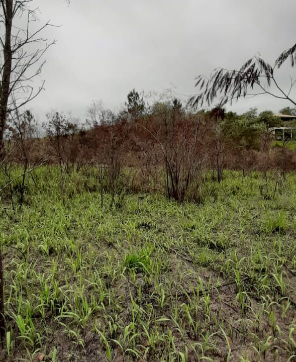 WhatsApp Image 2020-12-11 at 14.01.05 (5)