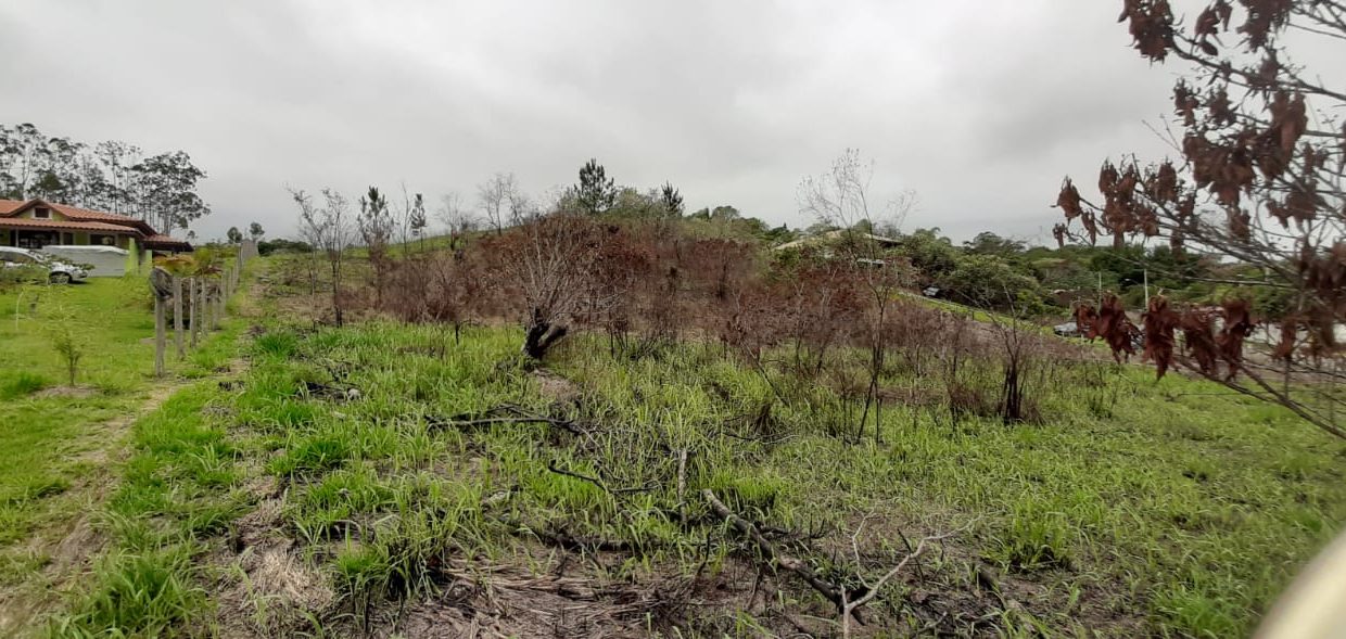 WhatsApp Image 2020-12-11 at 14.01.05 (8)