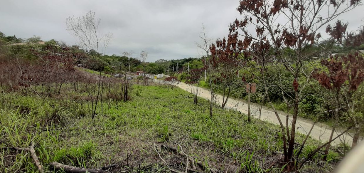 WhatsApp Image 2020-12-11 at 14.01.05 (9)