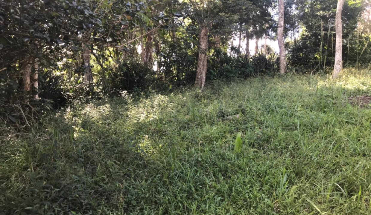 WhatsApp Image 2021-03-11 at 10.29.24