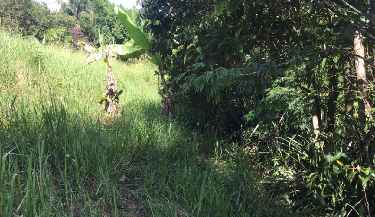 WhatsApp Image 2021-03-11 at 10.33.07 (1)