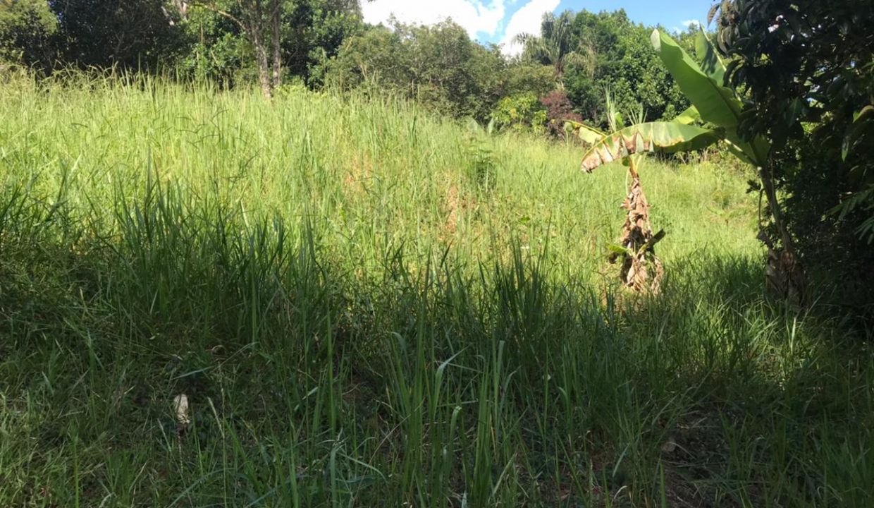 WhatsApp Image 2021-03-11 at 10.33.07