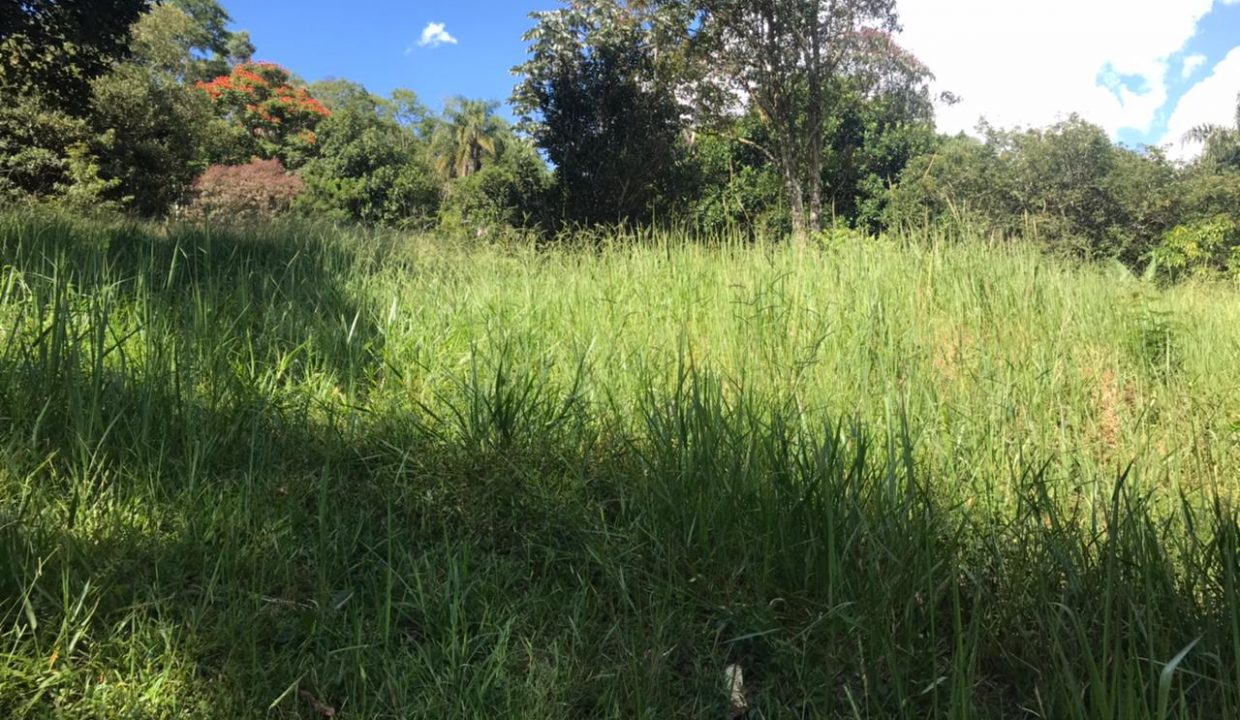 WhatsApp Image 2021-03-11 at 10.33.12