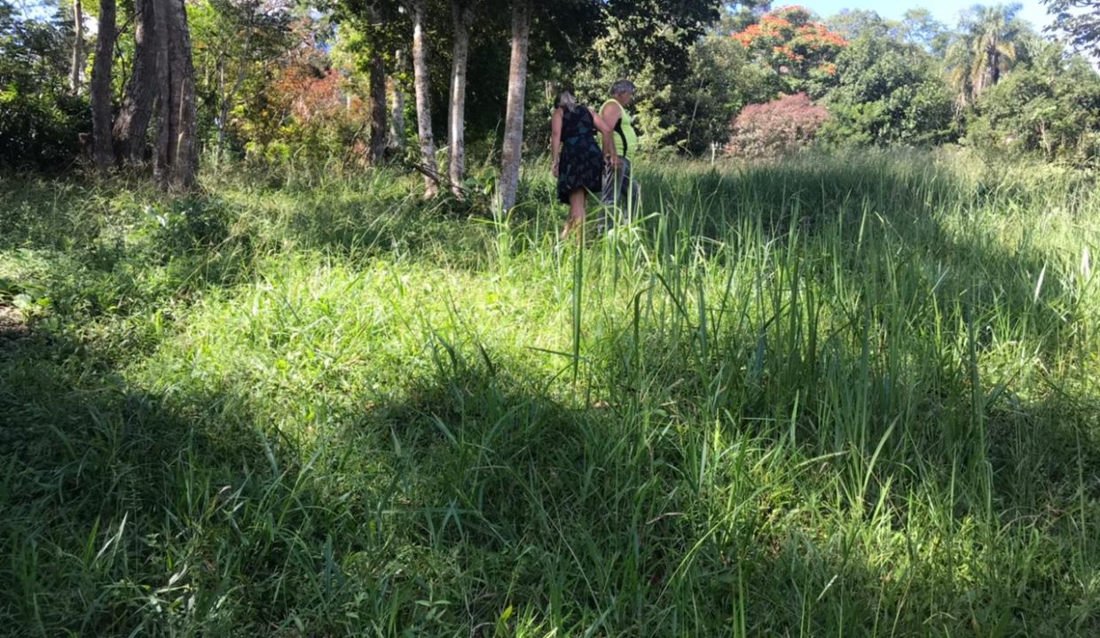 WhatsApp Image 2021-03-11 at 10.33.52