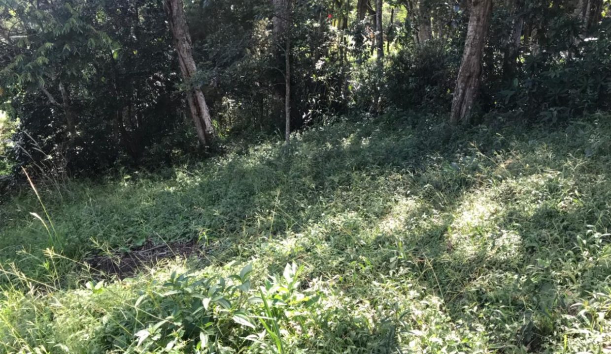 WhatsApp Image 2021-03-11 at 10.33.53 (1)