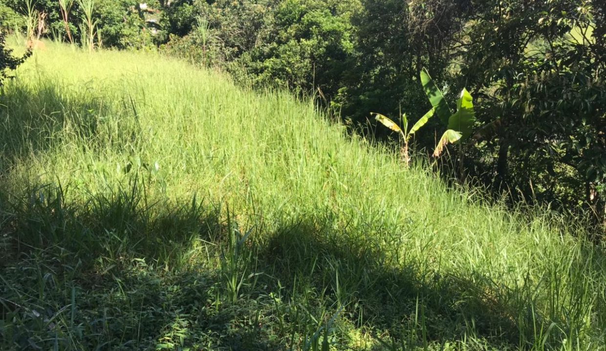 WhatsApp Image 2021-03-11 at 10.33.53 (2)