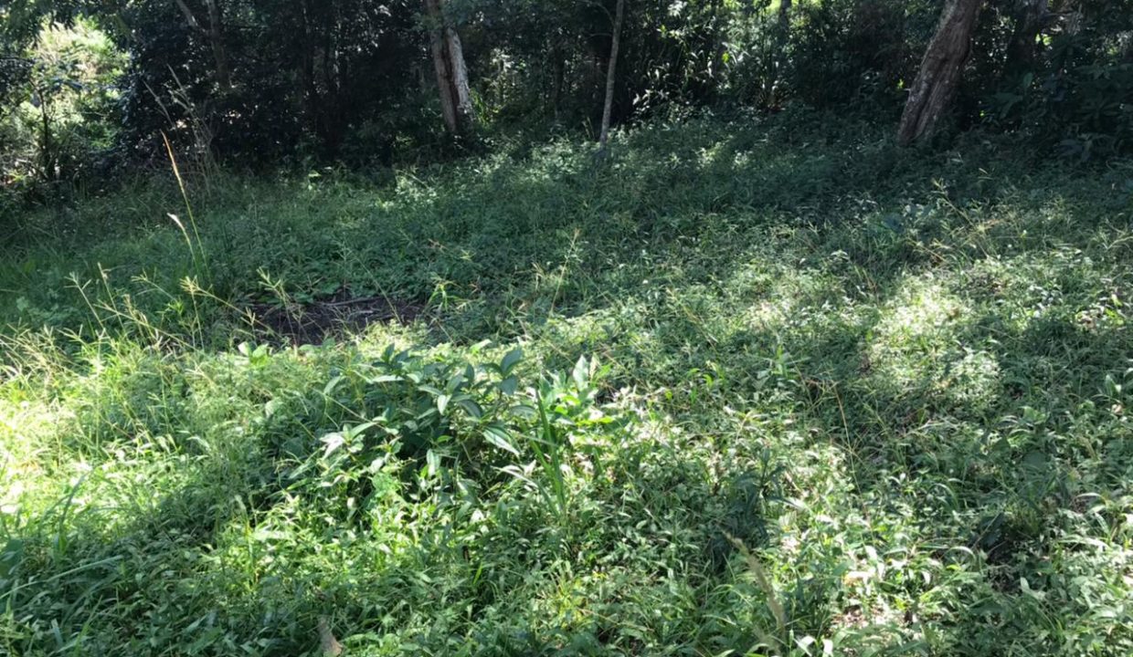 WhatsApp Image 2021-03-11 at 10.33.53