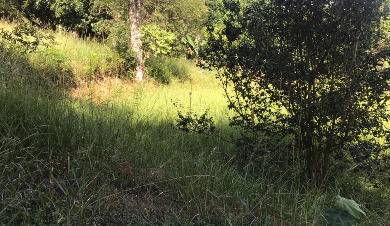 WhatsApp Image 2021-03-11 at 10.33.54 (1)