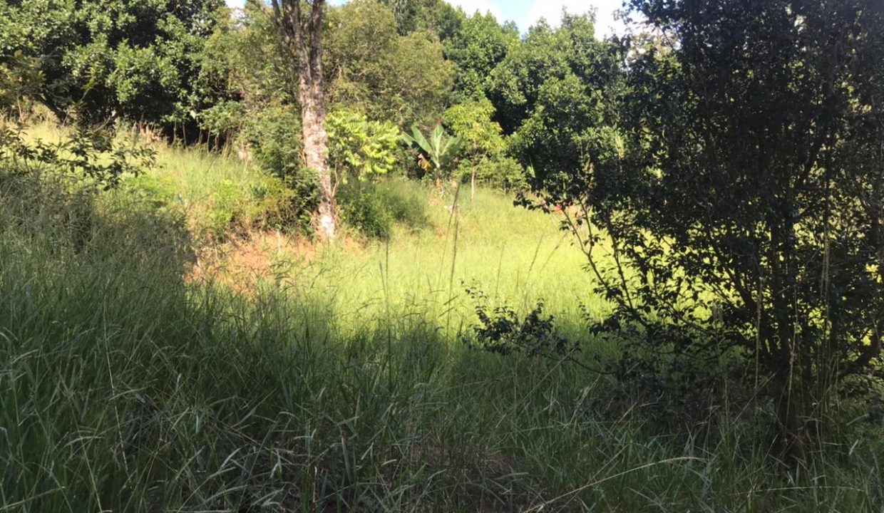 WhatsApp Image 2021-03-11 at 10.33.54 (2)